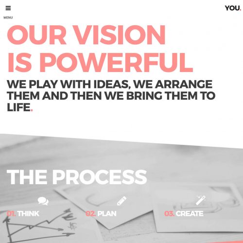 Our Vision